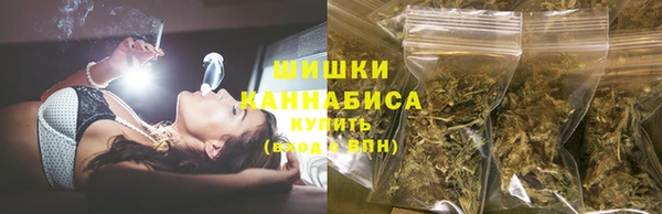 PSILOCYBIN Бугульма